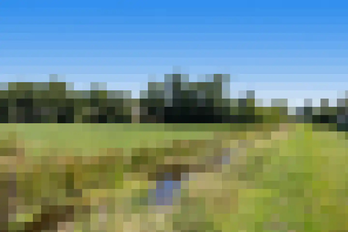 De Skeauwen 41 Ureterp thumbnail 42
