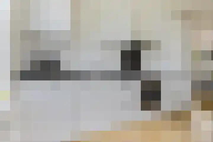 De Skeauwen 8 Ureterp thumbnail 10
