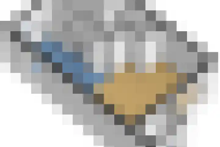 De Skeauwen 8 Ureterp thumbnail 15