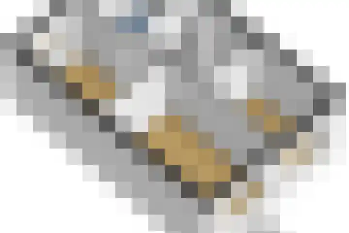 De Skeauwen 8 Ureterp thumbnail 27