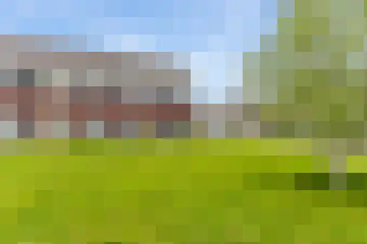De Skeauwen 8 Ureterp thumbnail 36