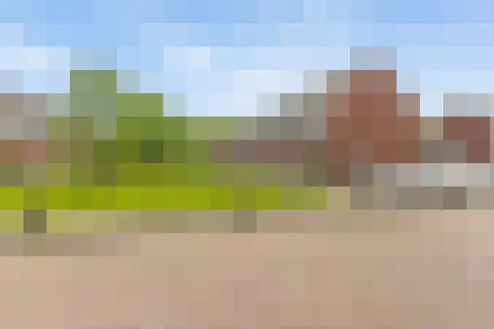 De Skeauwen 8 Ureterp thumbnail 39
