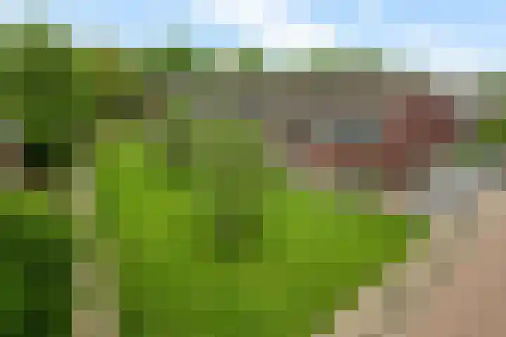 De Skeauwen 8 Ureterp thumbnail 40