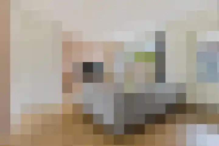 De Skeauwen 8 Ureterp thumbnail 7
