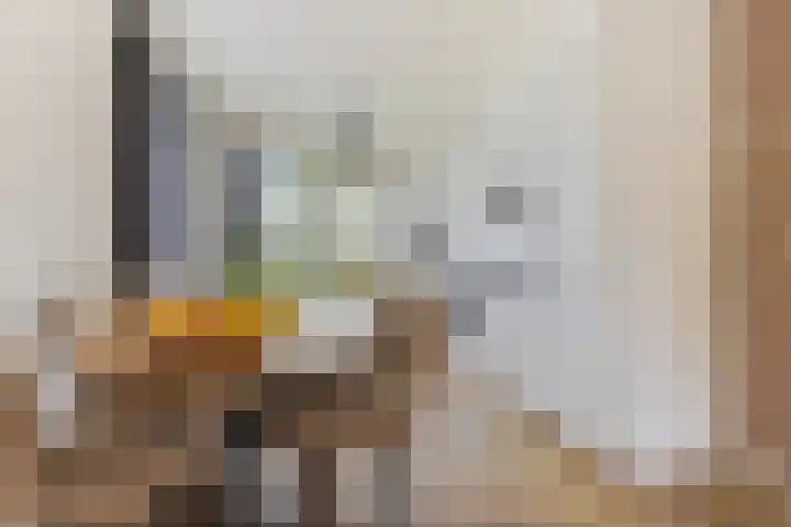 De Skeauwen 8 Ureterp thumbnail 8