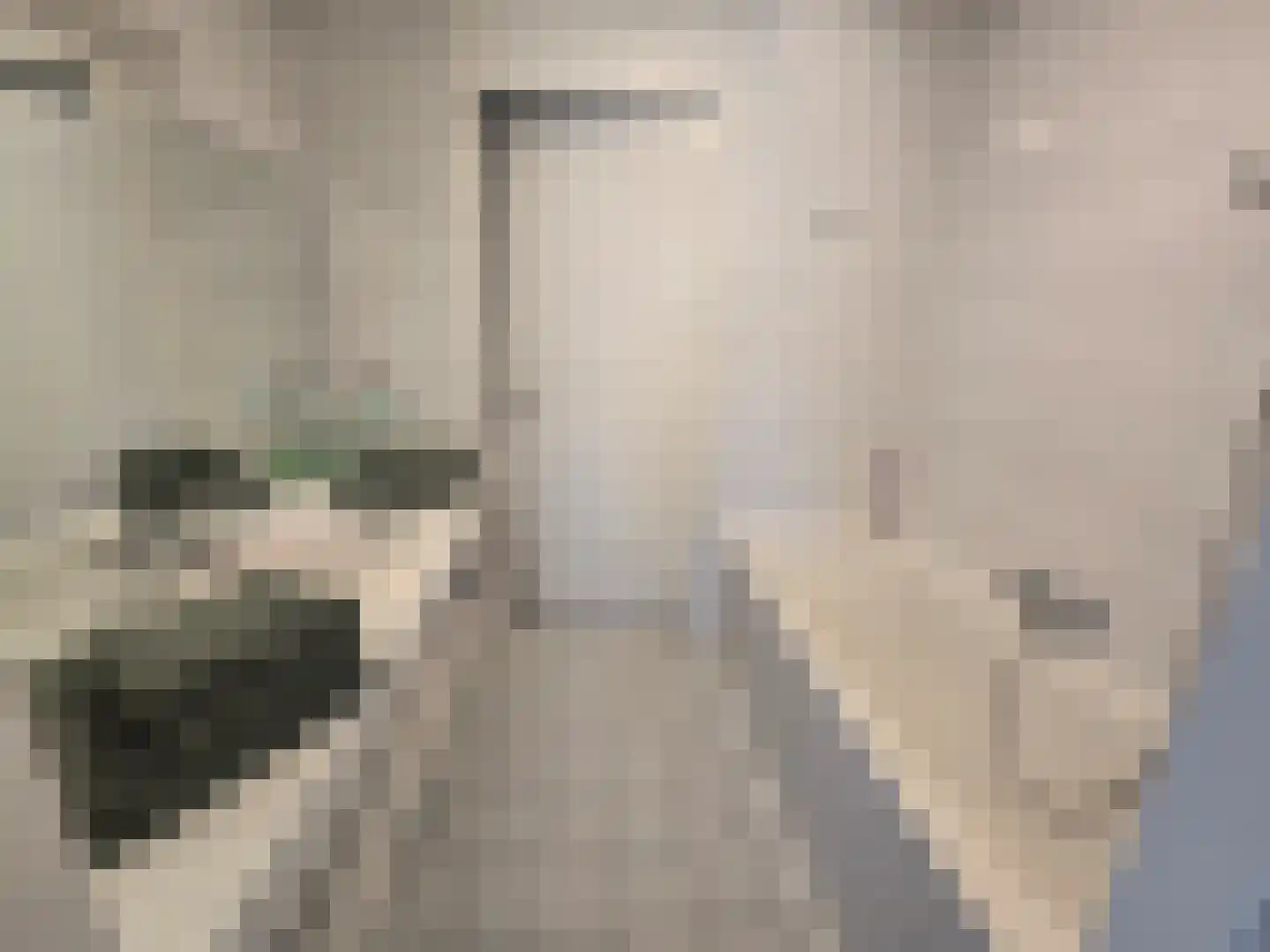 De Skilbank 22 Makkum thumbnail 10