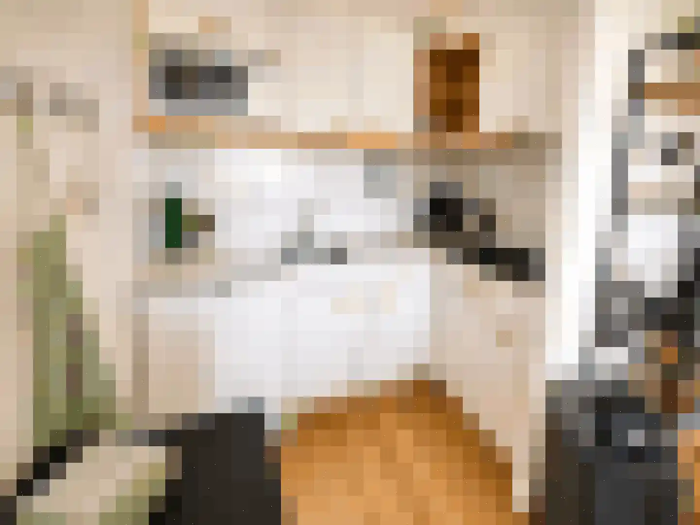 De Skilbank 22 Makkum thumbnail 8