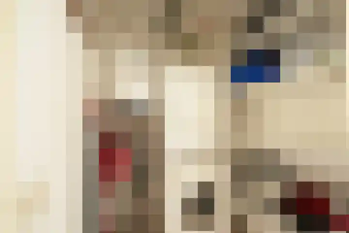 De Skilbank 31 Makkum thumbnail 18