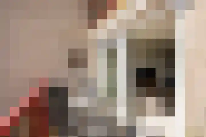 De Skilbank 31 Makkum thumbnail 21