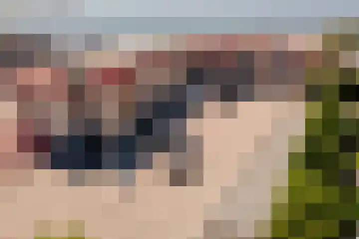 De Skilbank 31 Makkum thumbnail 22