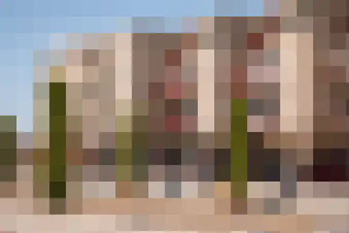 De Skilbank 31 Makkum thumbnail 26