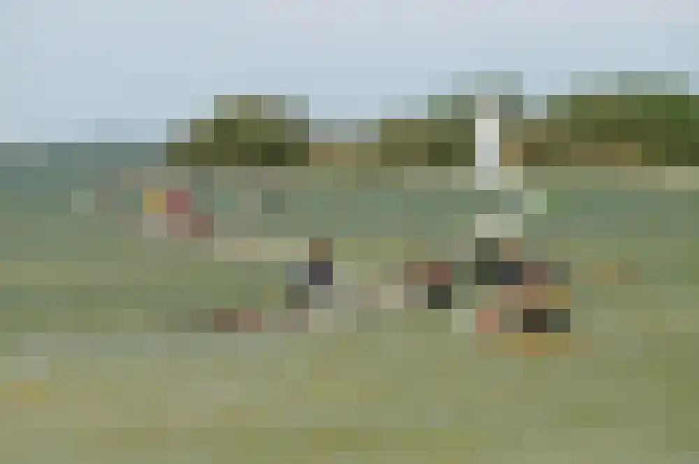 De Skilbank 36 Makkum thumbnail 37