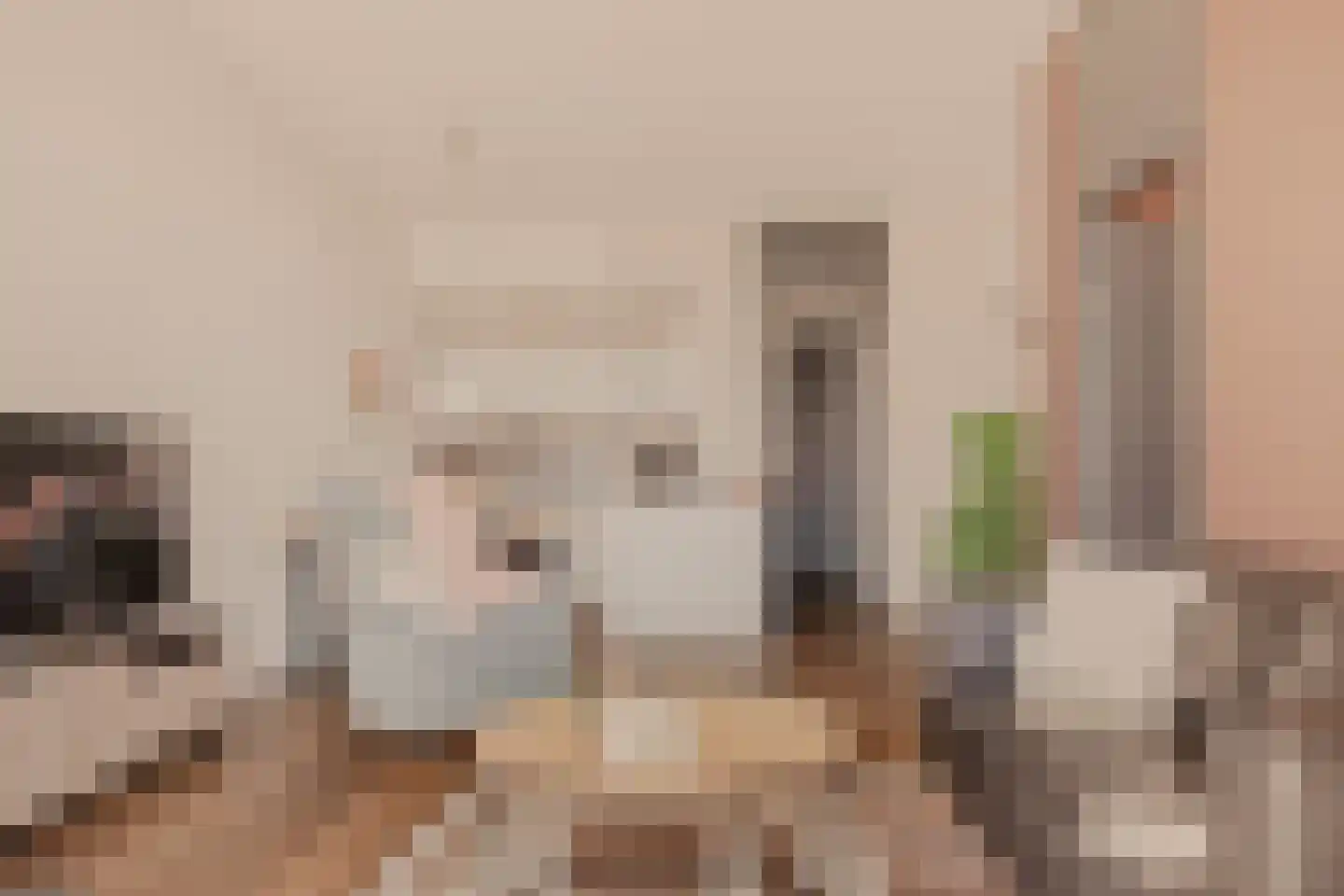 De Skilbank 4 Makkum thumbnail 6