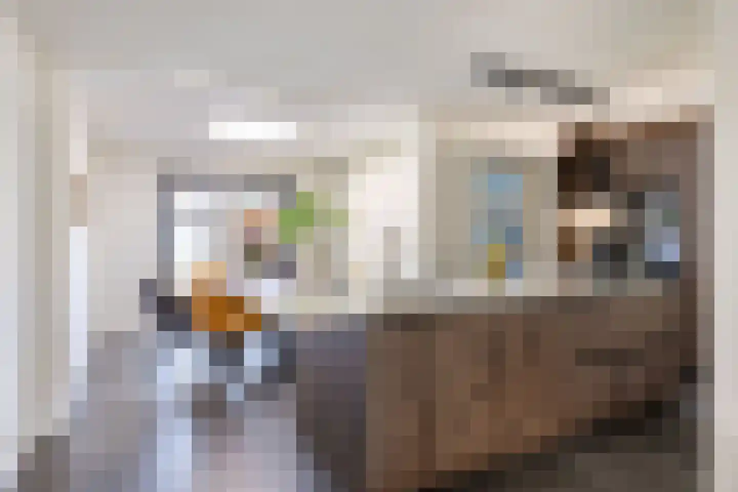 De Skries 10 Hurdegaryp thumbnail 18