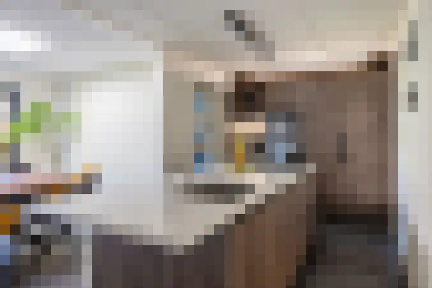 De Skries 10 Hurdegaryp thumbnail 20