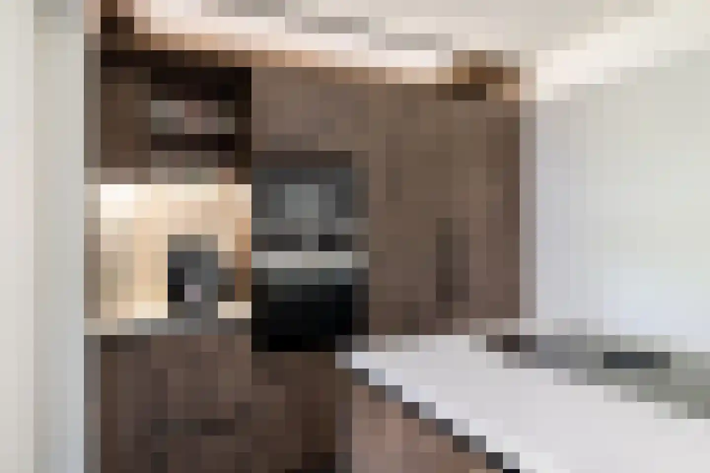 De Skries 10 Hurdegaryp thumbnail 21
