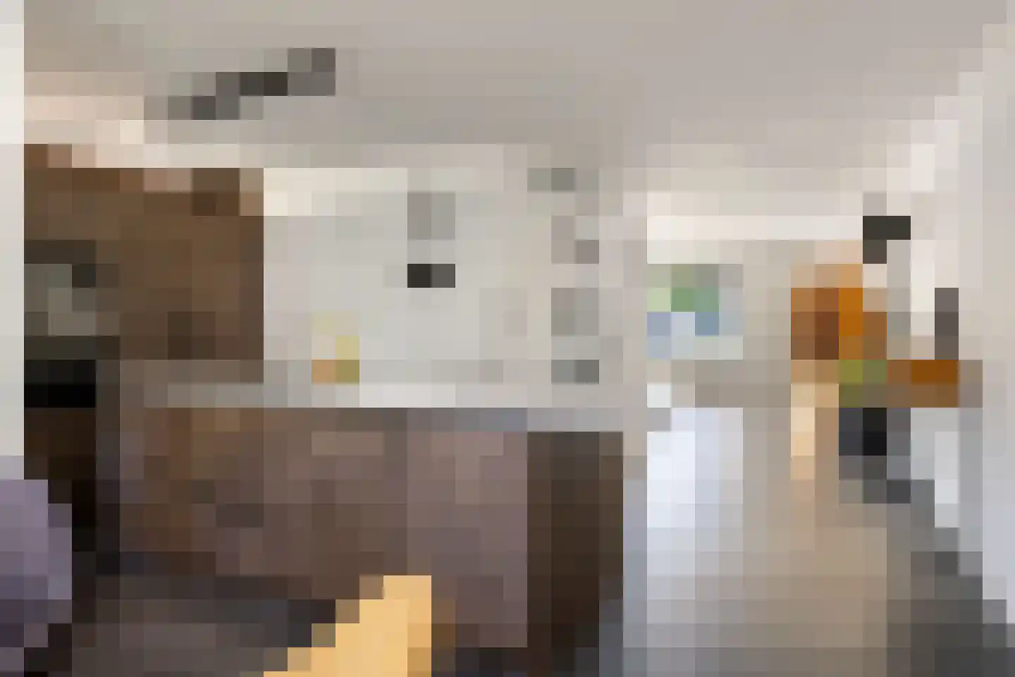 De Skries 10 Hurdegaryp thumbnail 22