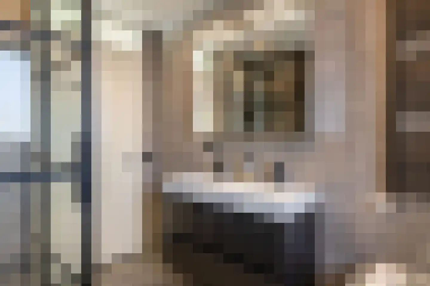 De Skries 10 Hurdegaryp thumbnail 37