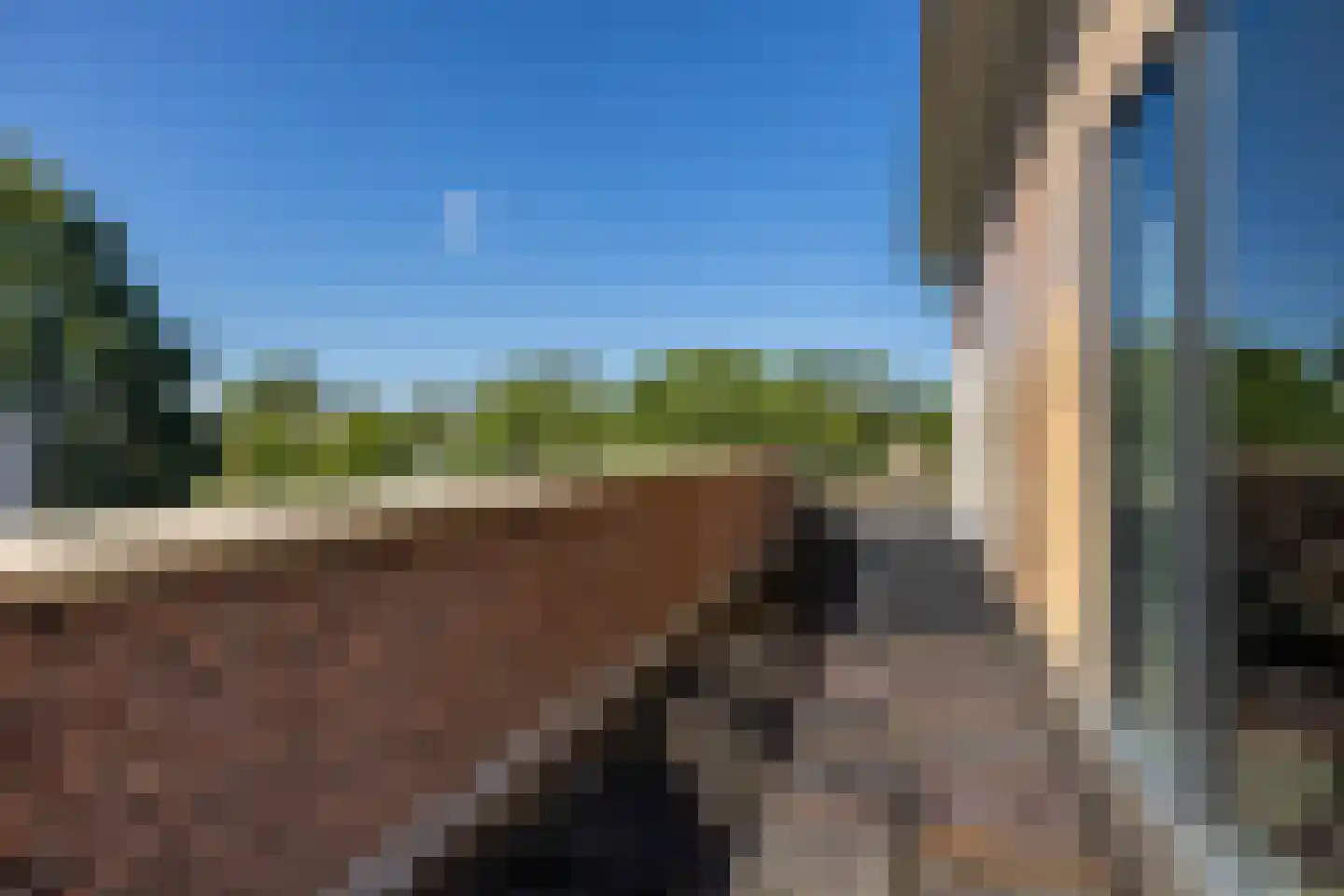 De Skries 10 Hurdegaryp thumbnail 42