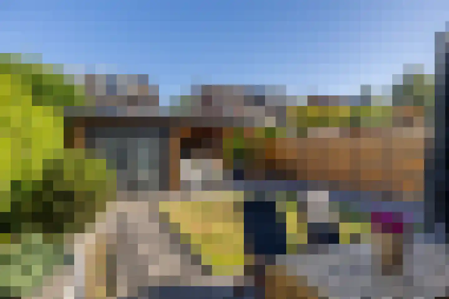 De Skries 10 Hurdegaryp thumbnail 45