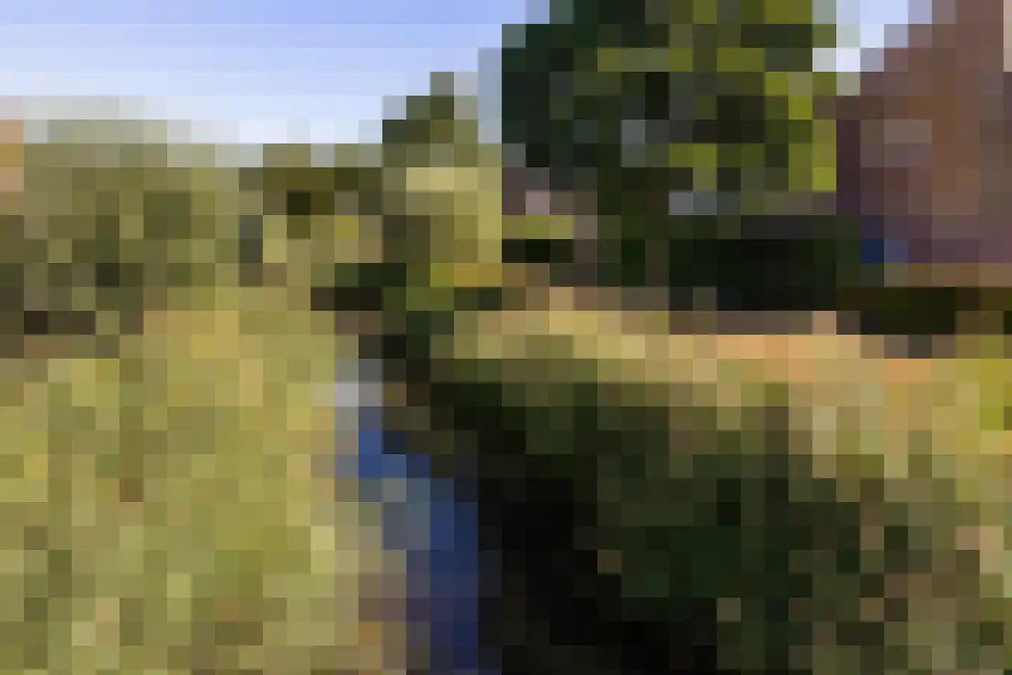 De Skries 10 Hurdegaryp thumbnail 54