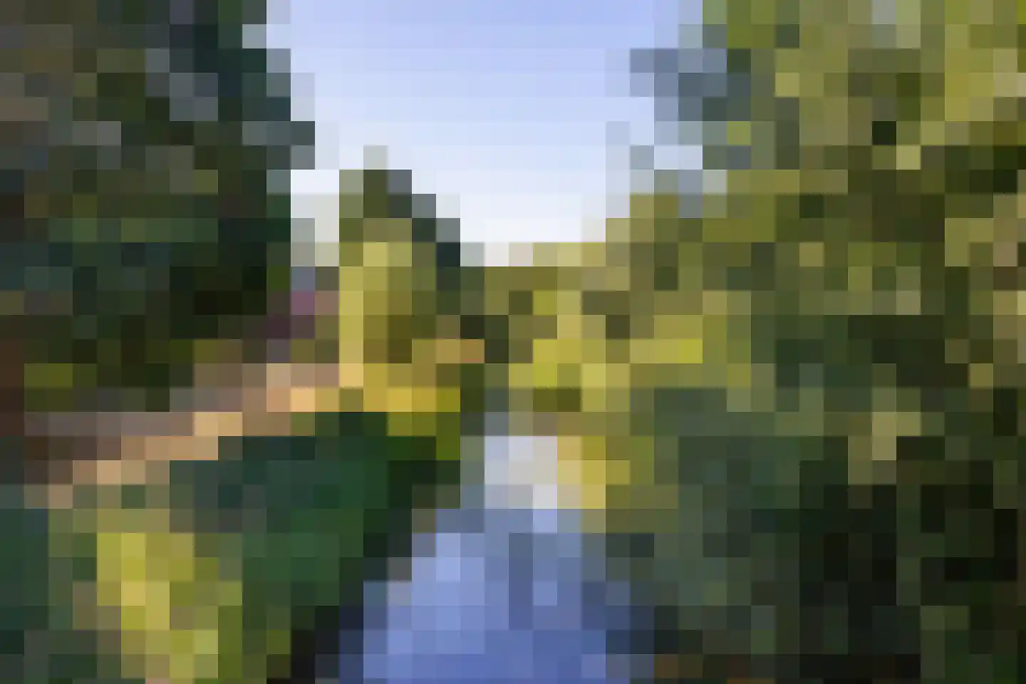 De Skries 10 Hurdegaryp thumbnail 55