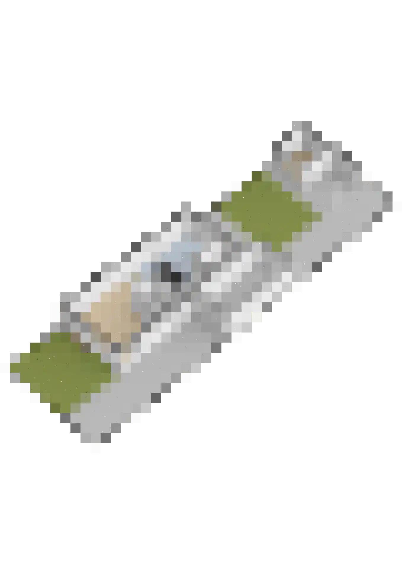 De Skries 10 Hurdegaryp thumbnail 67