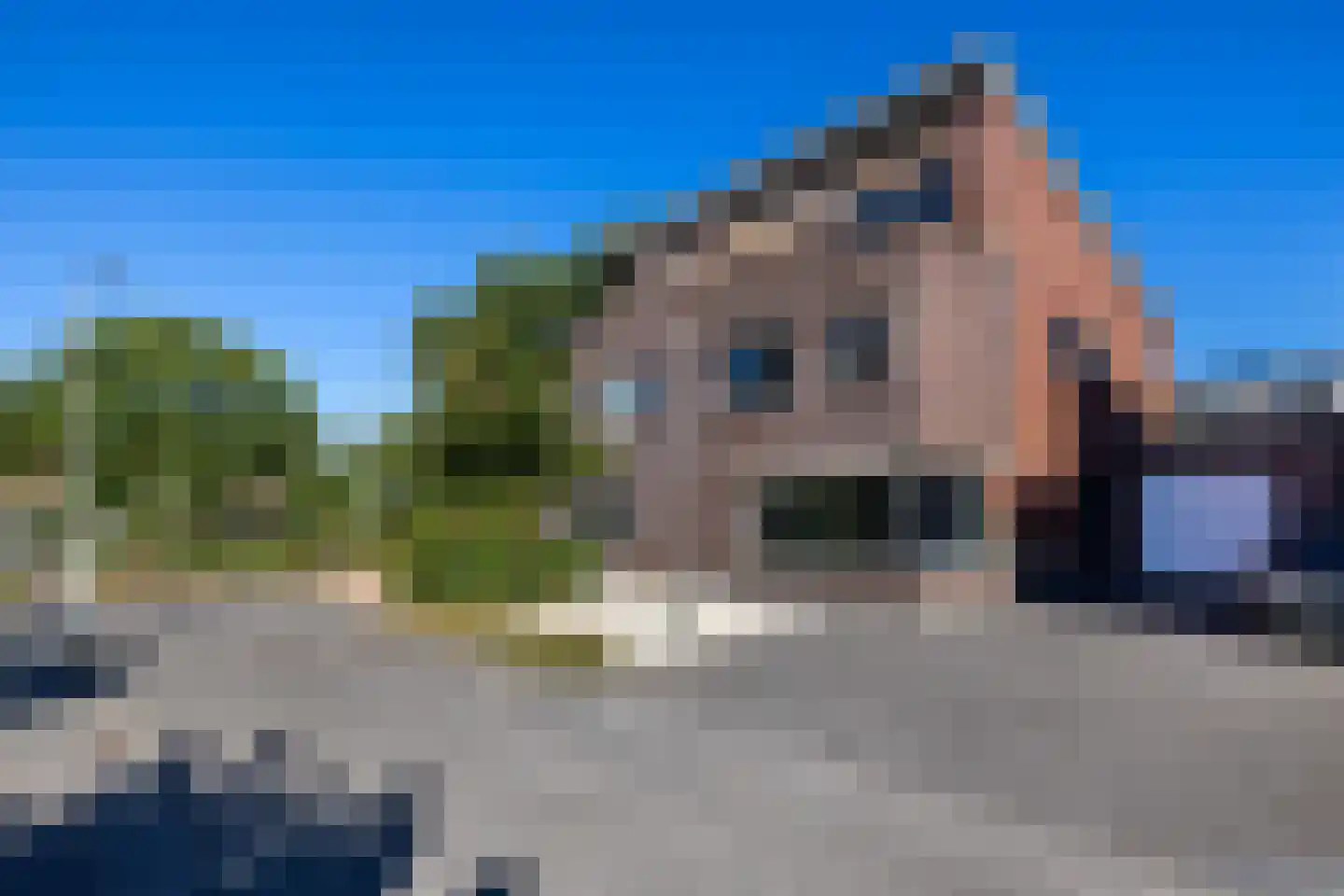 De Skries 10 Hurdegaryp thumbnail 7