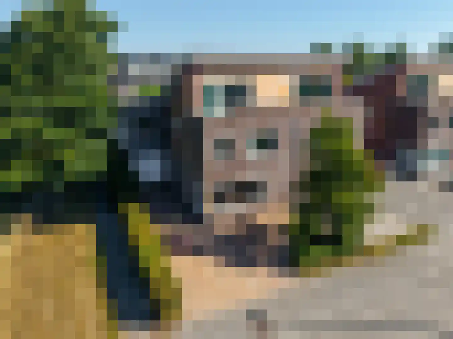 De Skries 12 in Hurdegaryp