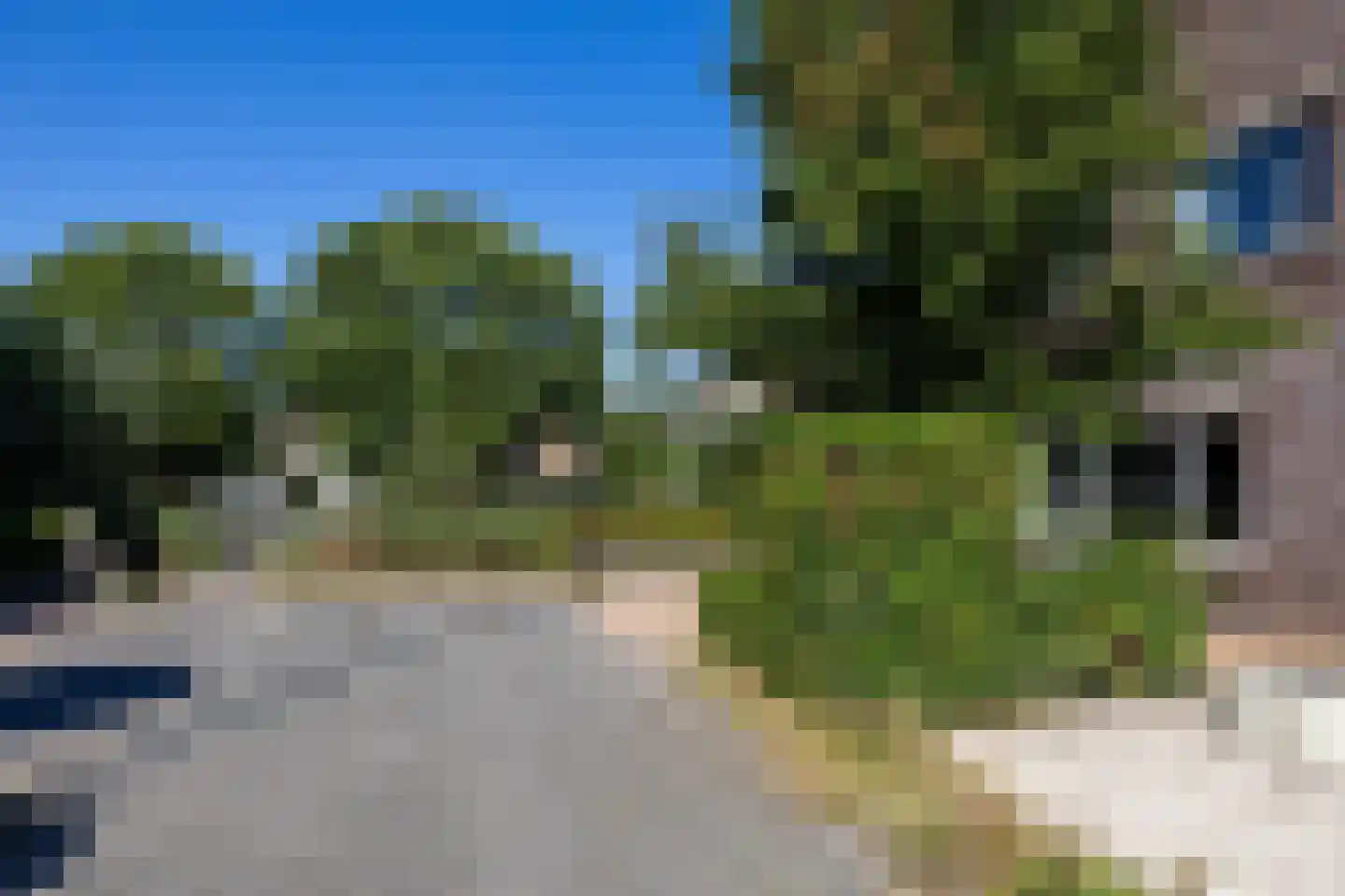 De Skries 12 Hurdegaryp thumbnail 11
