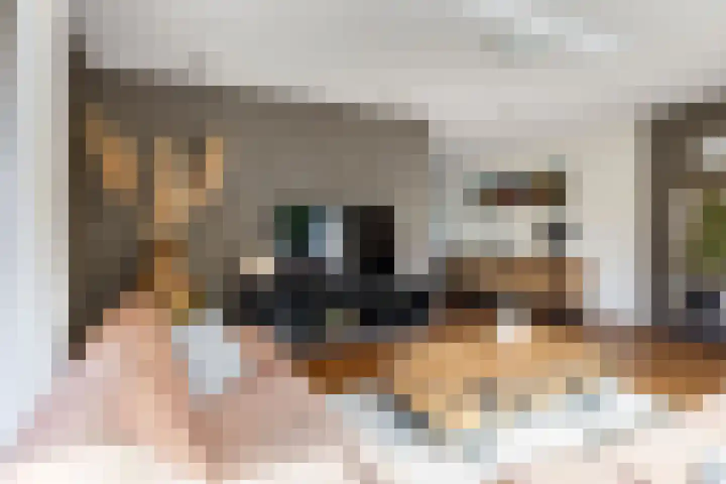 De Skries 12 Hurdegaryp thumbnail 19