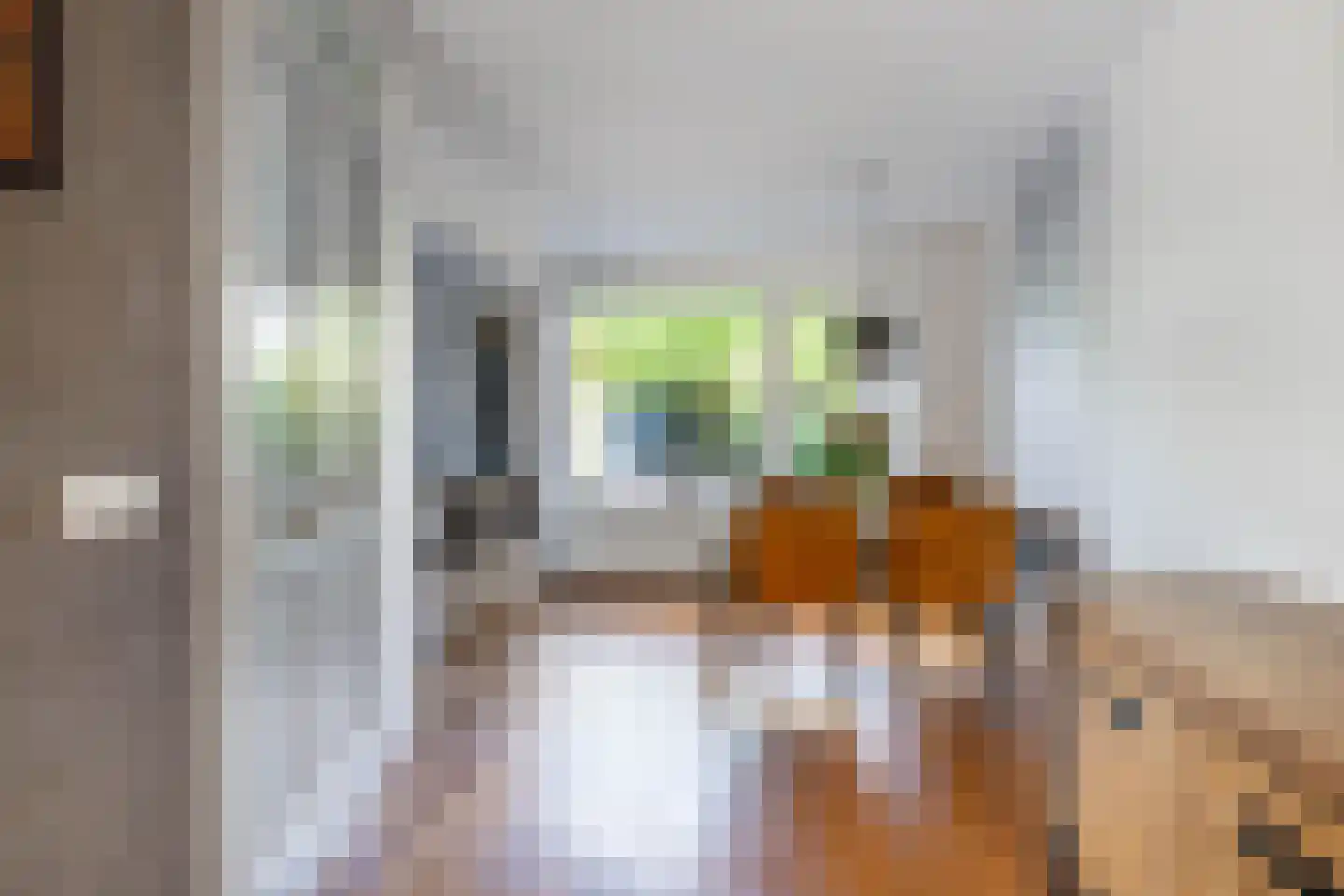 De Skries 12 Hurdegaryp thumbnail 21