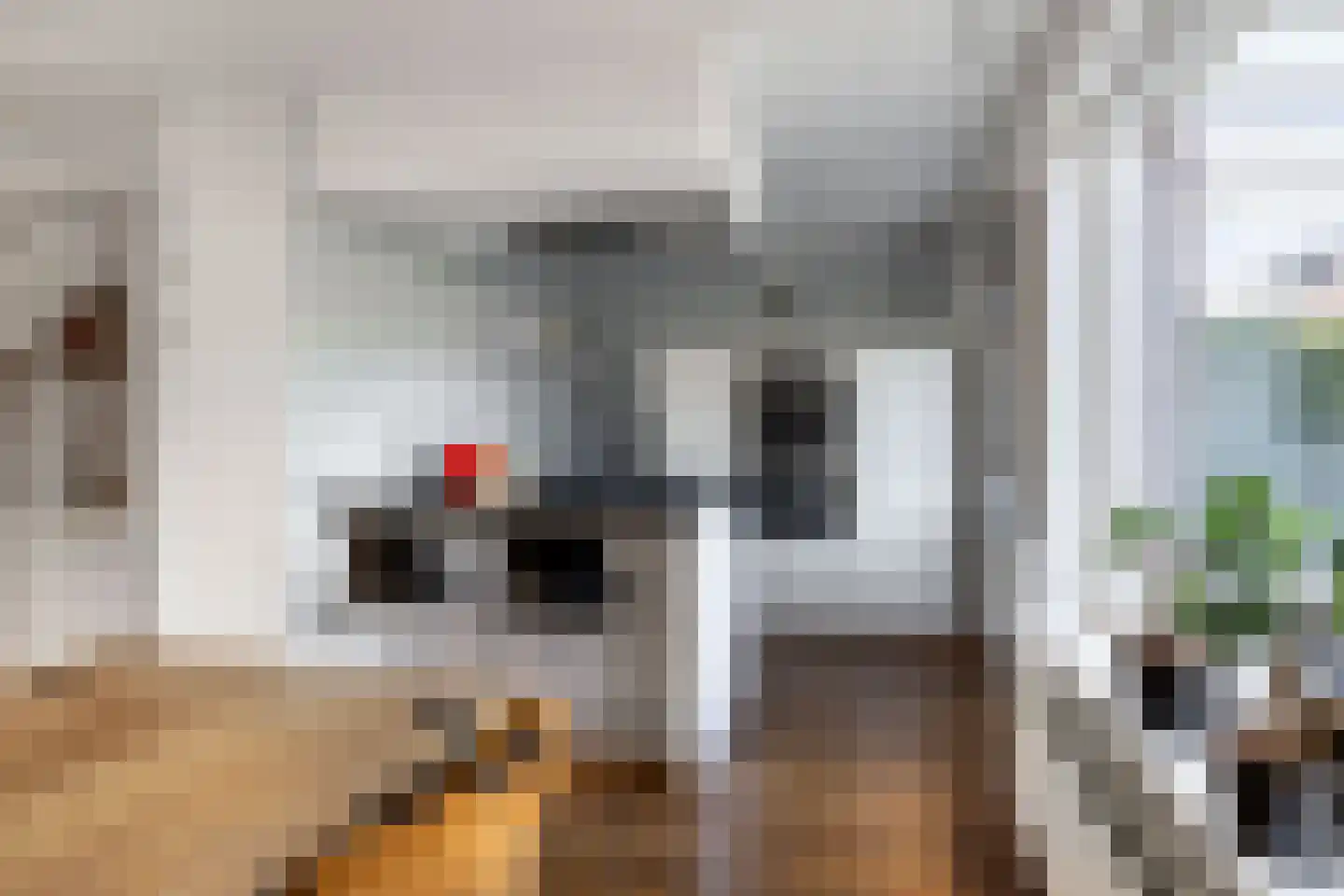 De Skries 12 Hurdegaryp thumbnail 24
