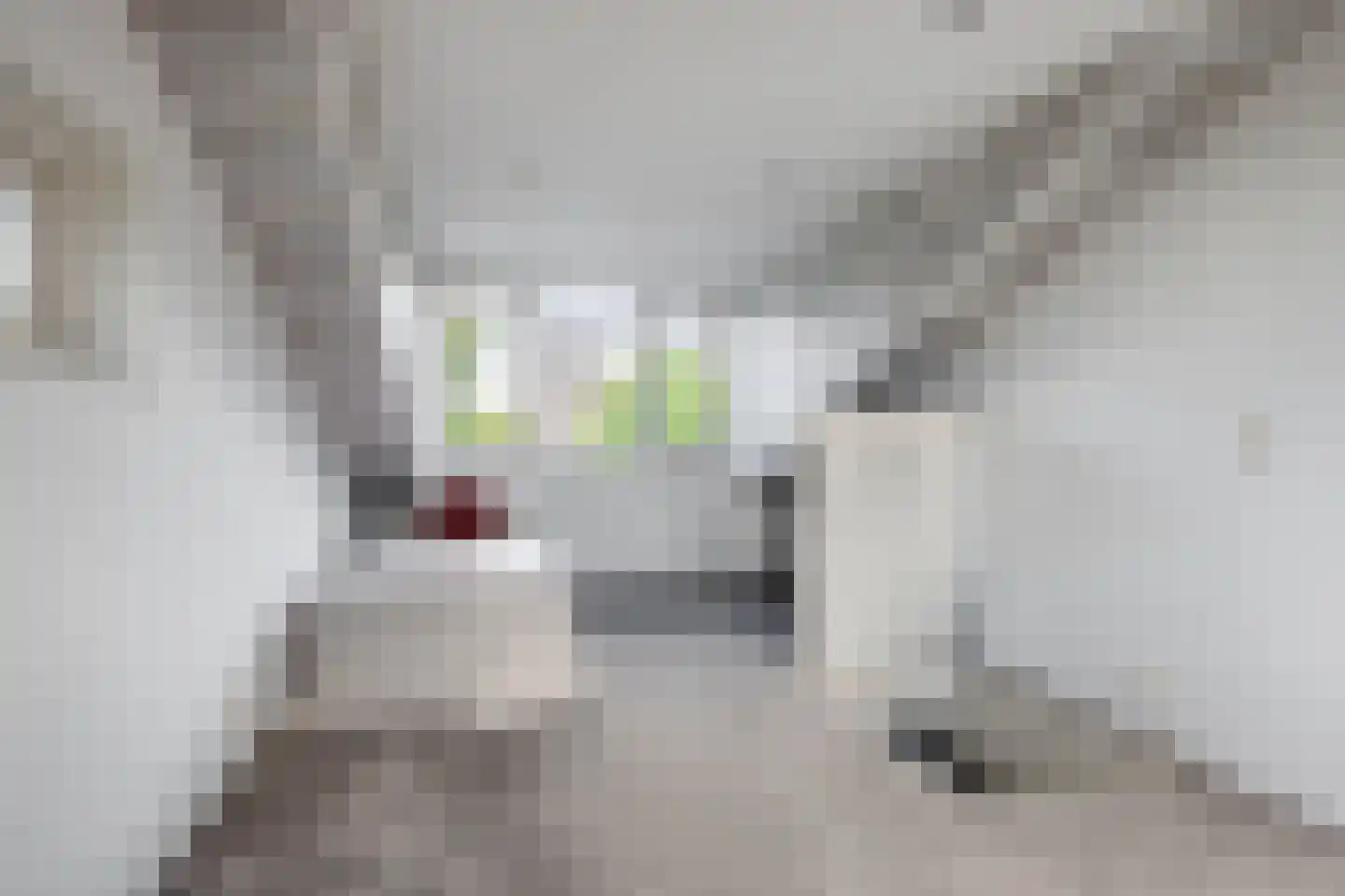 De Skries 12 Hurdegaryp thumbnail 33