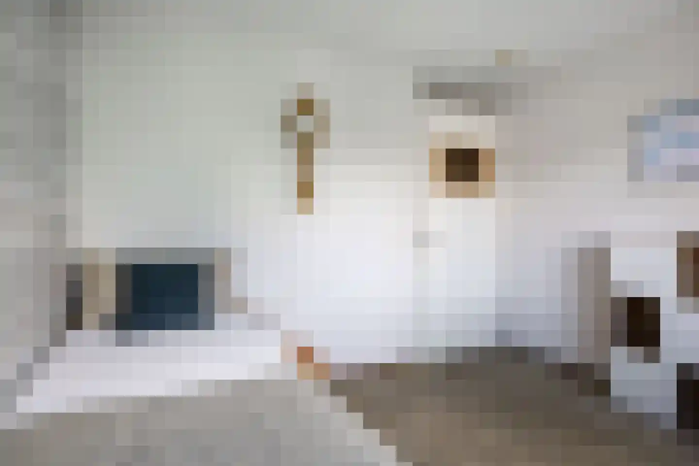 De Skries 12 Hurdegaryp thumbnail 41