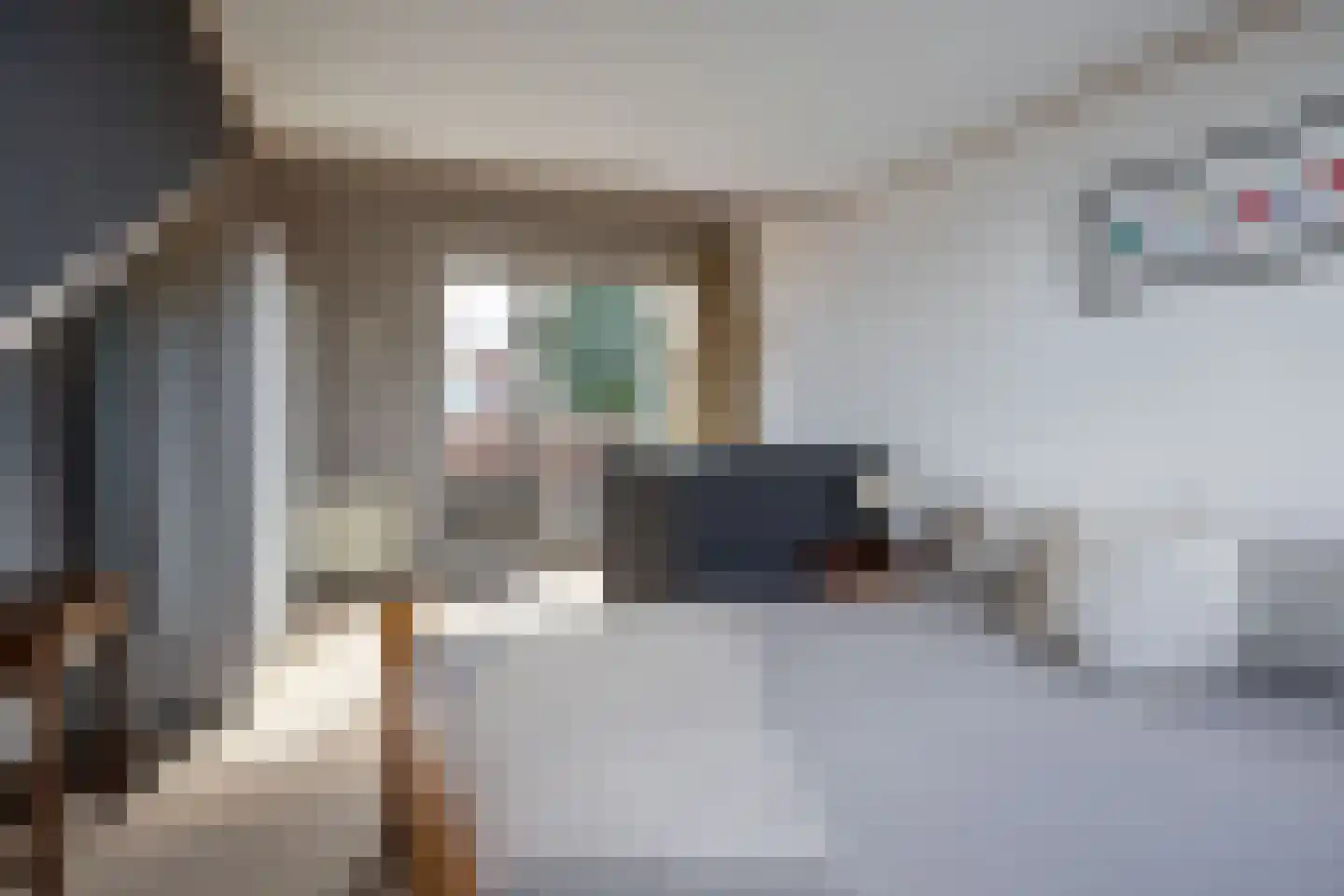 De Skries 12 Hurdegaryp thumbnail 52
