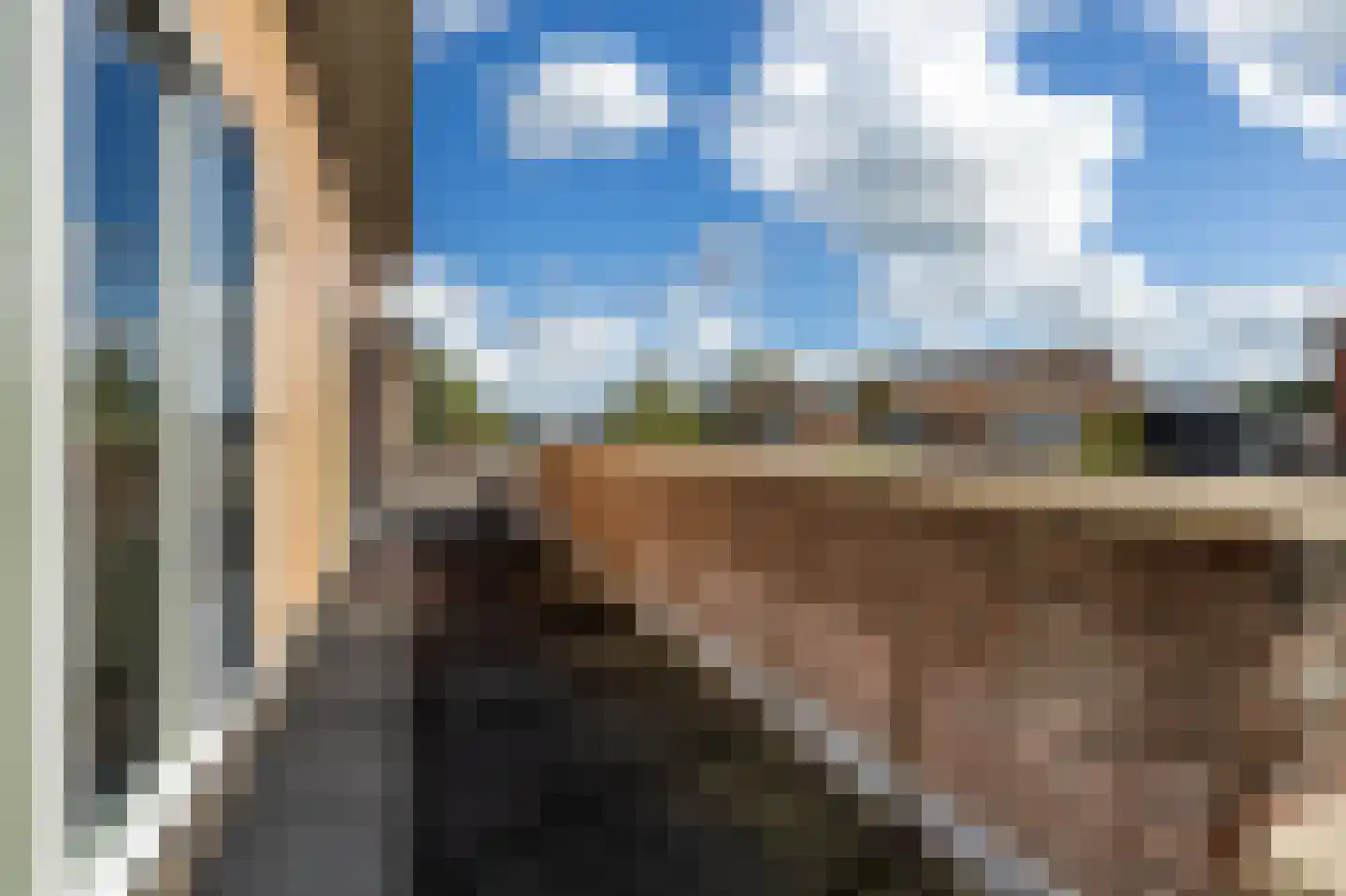 De Skries 12 Hurdegaryp thumbnail 53