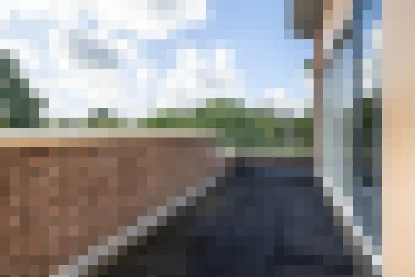 De Skries 12 Hurdegaryp thumbnail 54