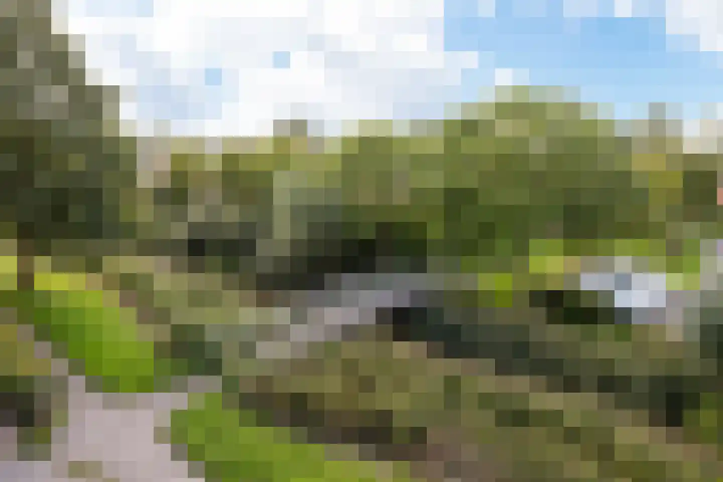 De Skries 12 Hurdegaryp thumbnail 55