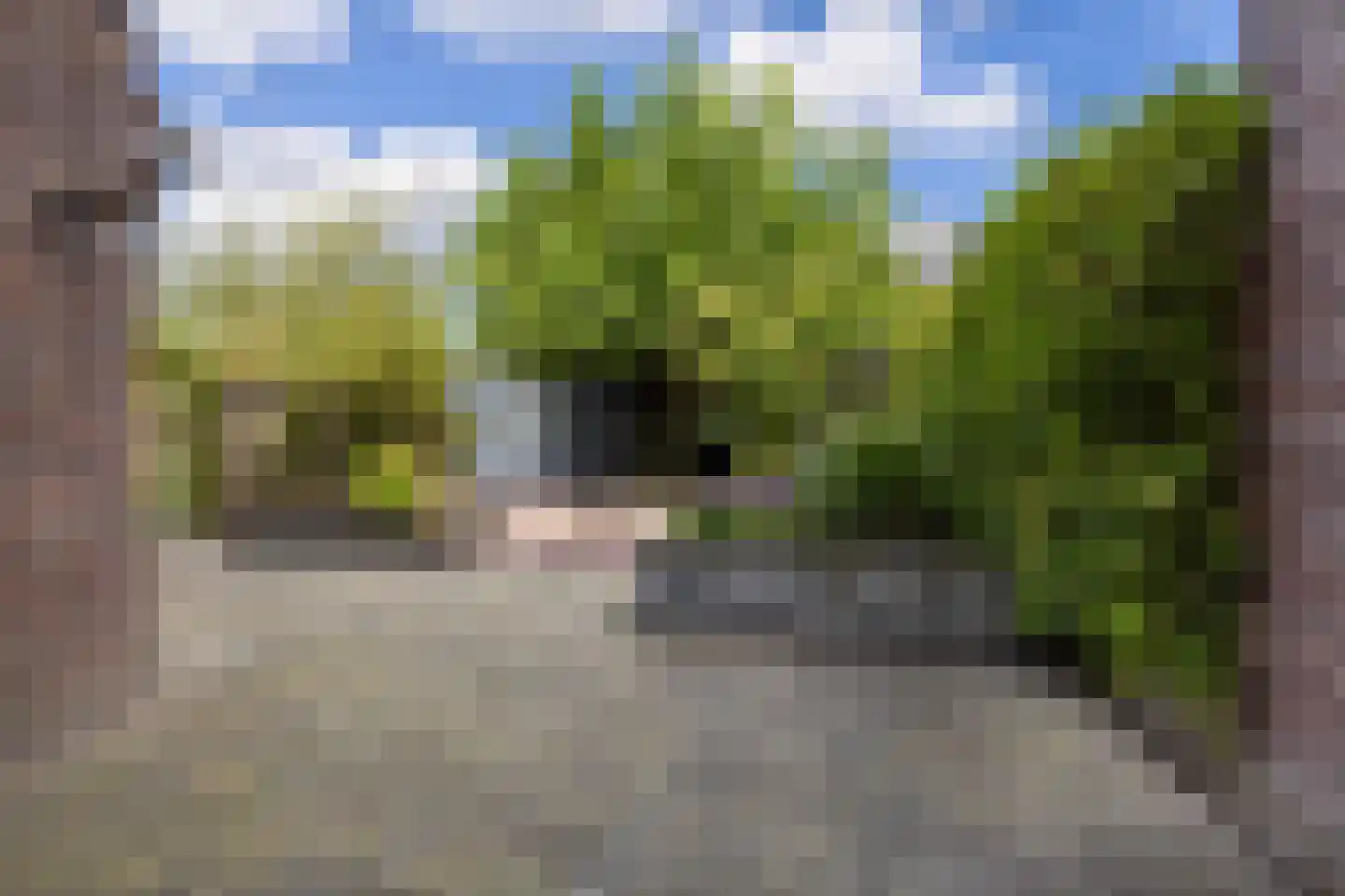 De Skries 12 Hurdegaryp thumbnail 56