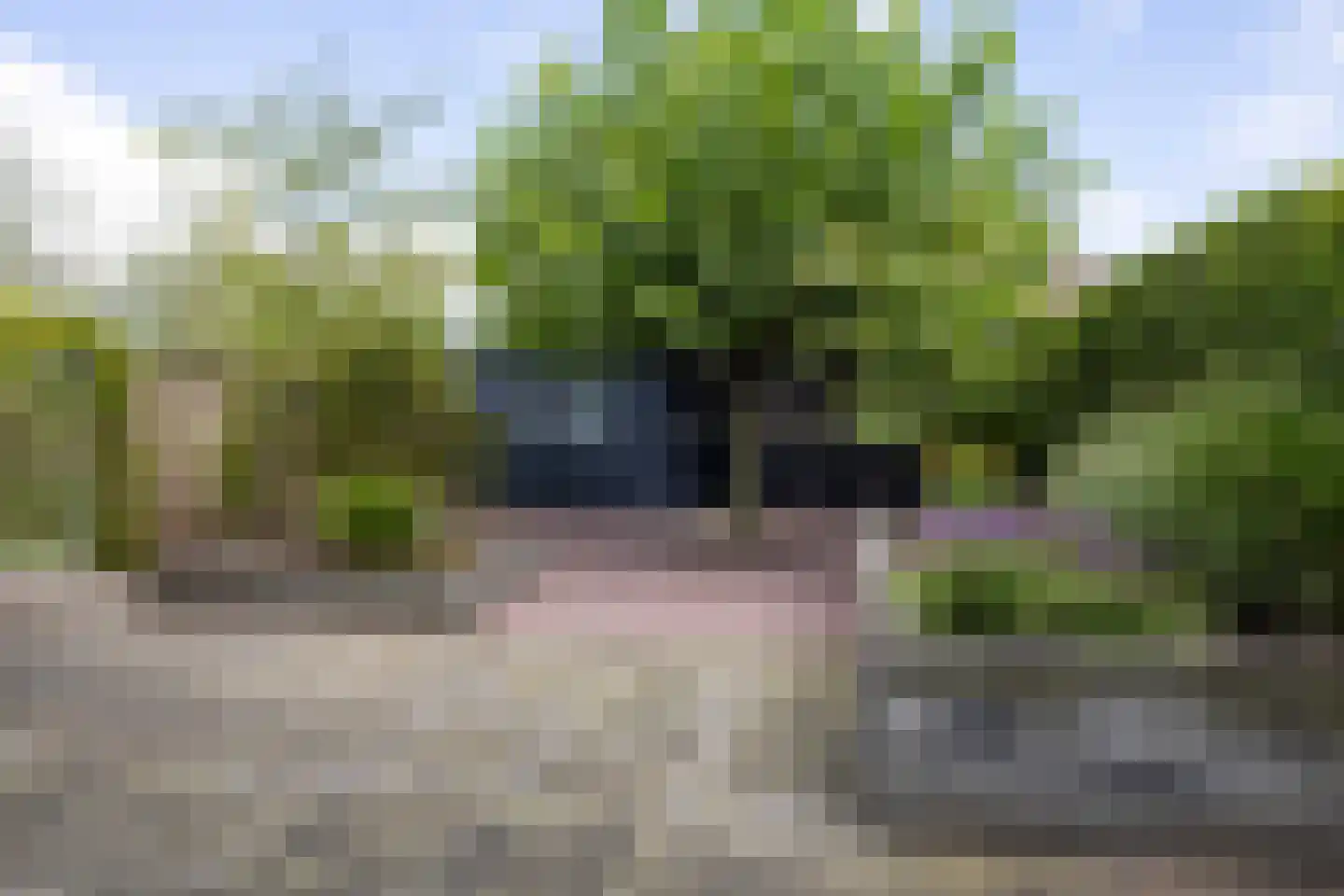De Skries 12 Hurdegaryp thumbnail 57