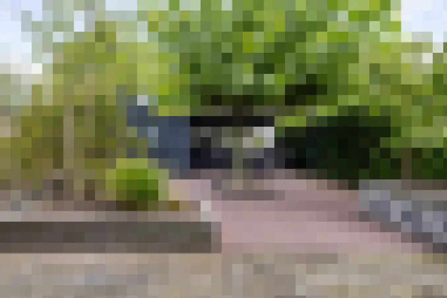 De Skries 12 Hurdegaryp thumbnail 58