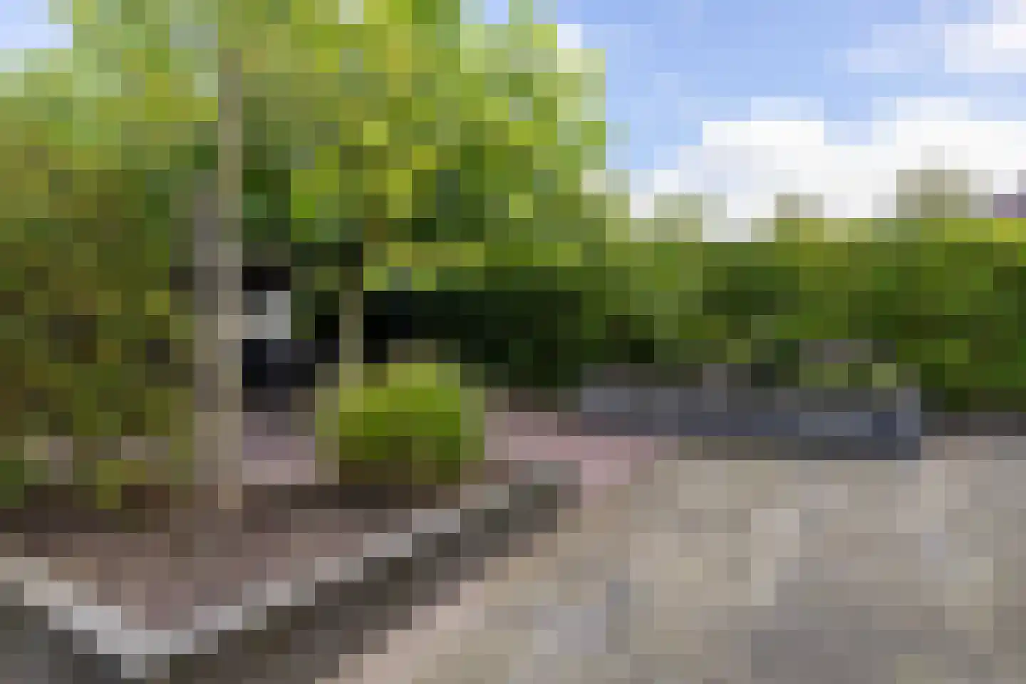 De Skries 12 Hurdegaryp thumbnail 59
