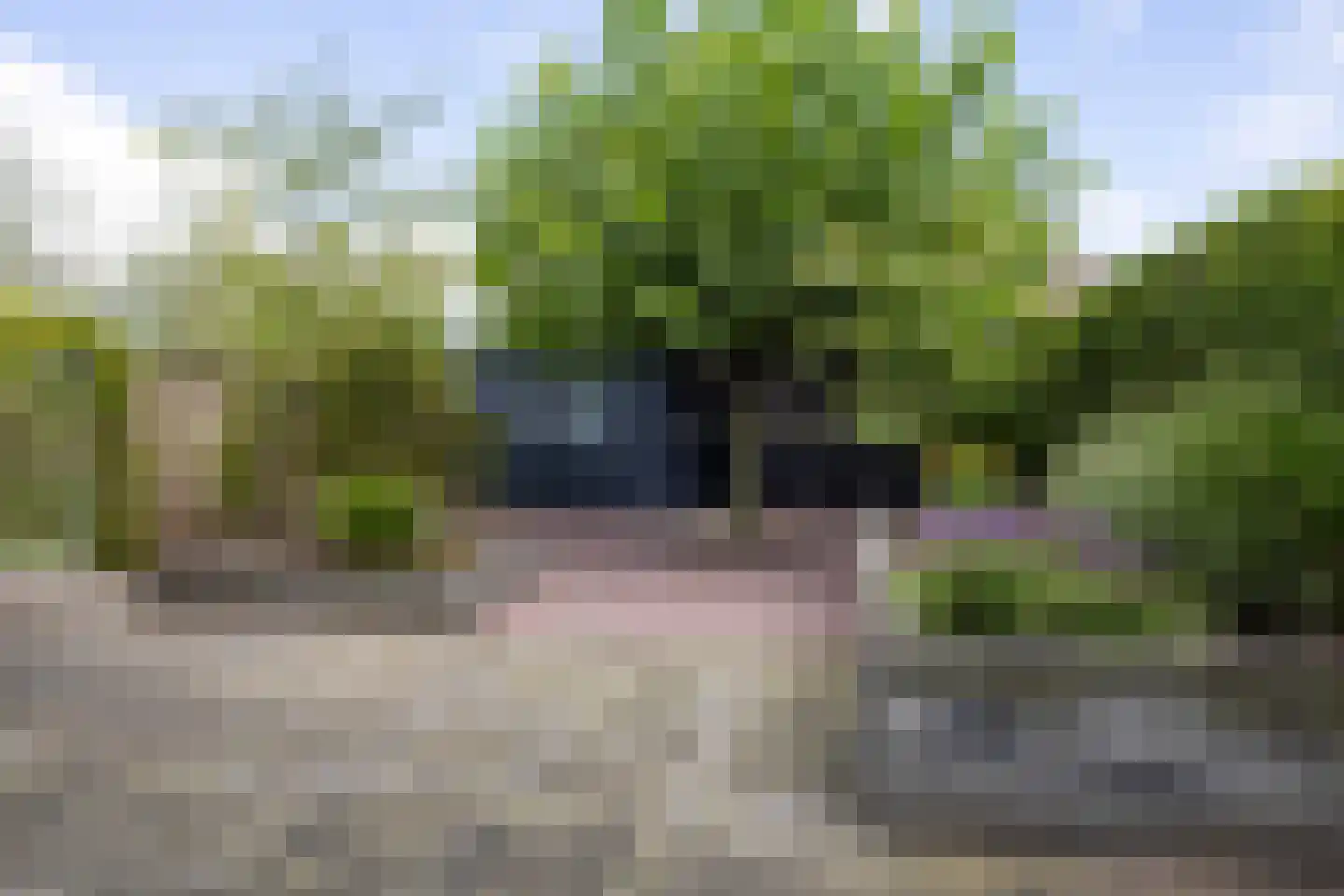 De Skries 12 Hurdegaryp thumbnail 6