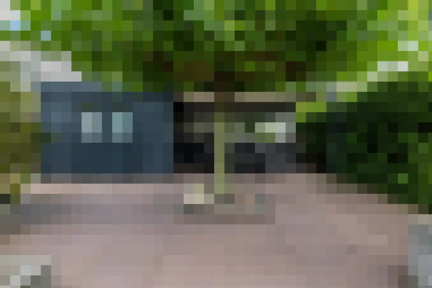 De Skries 12 Hurdegaryp thumbnail 60