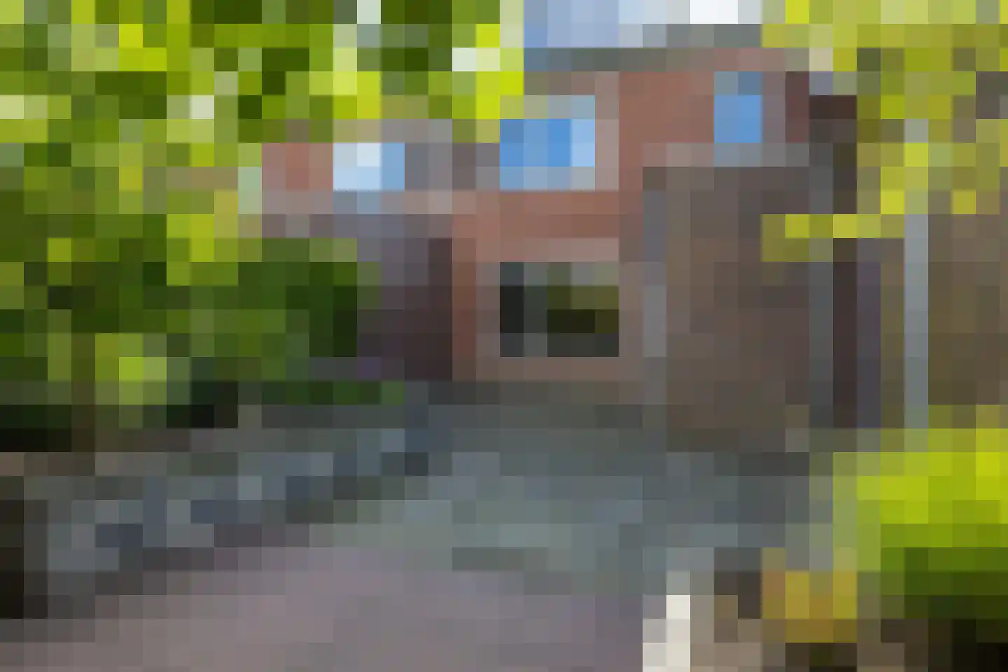 De Skries 12 Hurdegaryp thumbnail 63