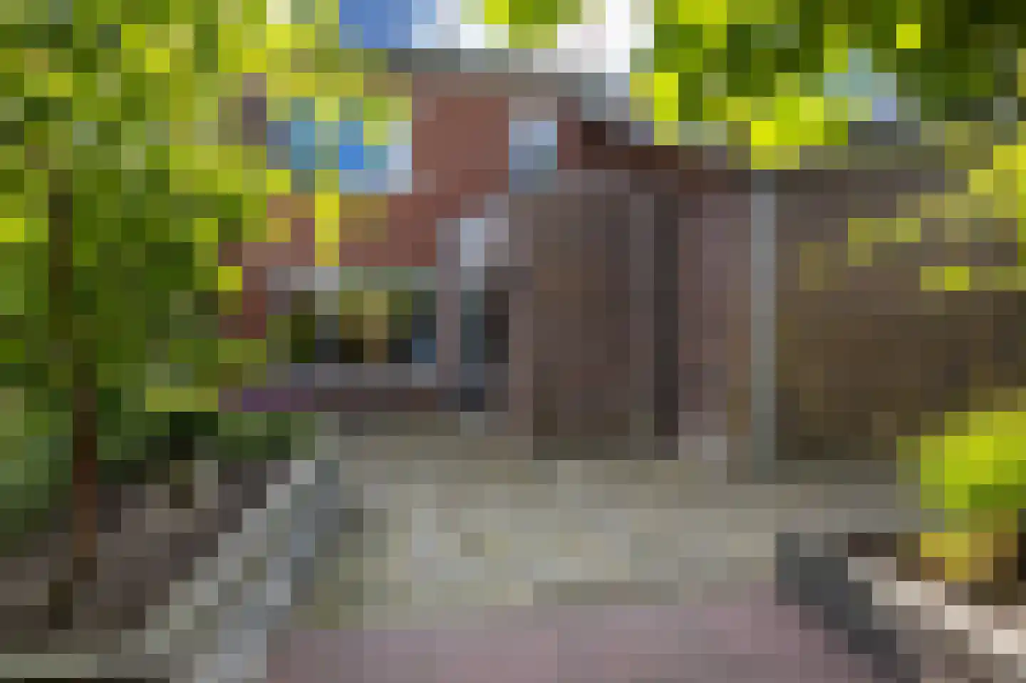 De Skries 12 Hurdegaryp thumbnail 64