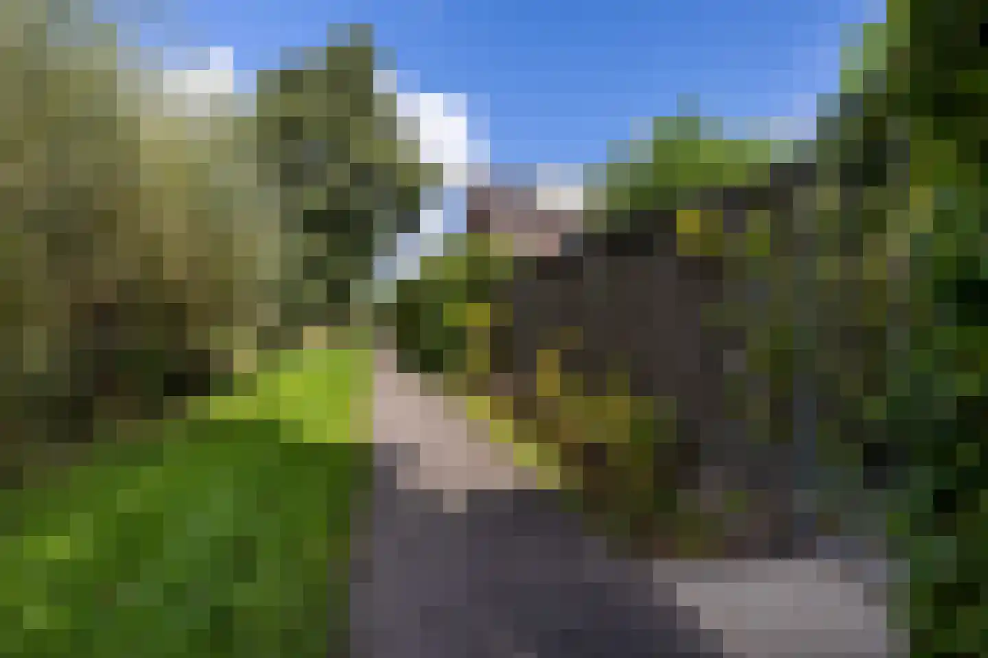 De Skries 12 Hurdegaryp thumbnail 66