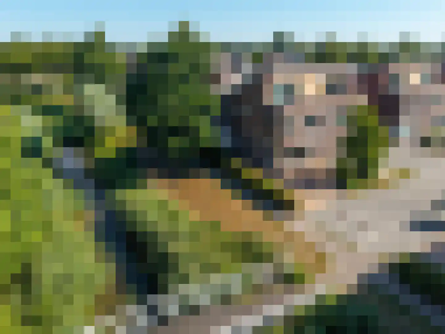 De Skries 12 Hurdegaryp thumbnail 7