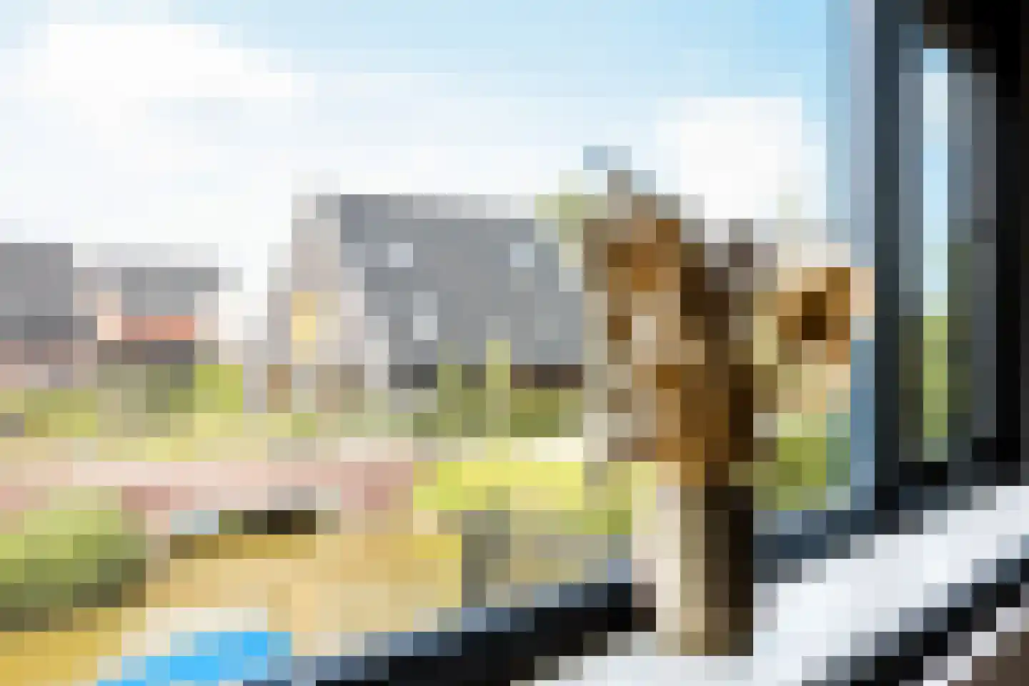 De Skries 29 Leeuwarden thumbnail 54